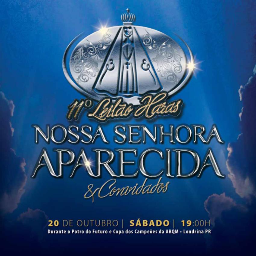 Confira as Fotos - 11 Leilo Haras Nossa Senhora Aparecida